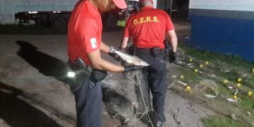 Pesca ilegal en Mar Chiquita personal del GERS