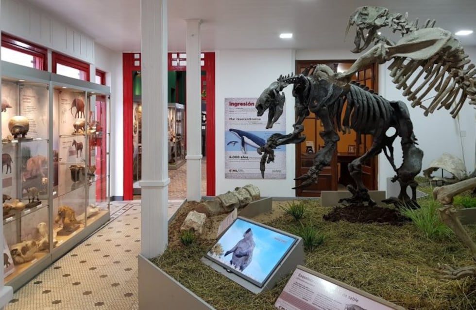 Reinauguraron el Museo de Ciencias Naturales y Arqueología de Gualeguaychú