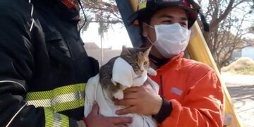 Rescate de una gatita por Bomberos Voluntarios Arroyito