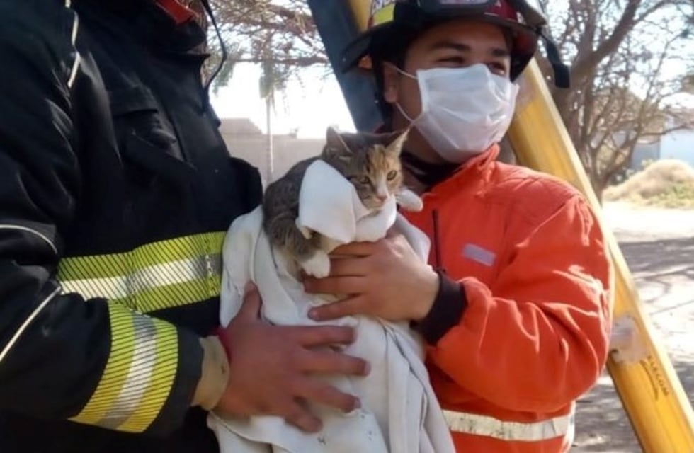 Arroyito: luego de dos días... llegó la ayuda voluntaria