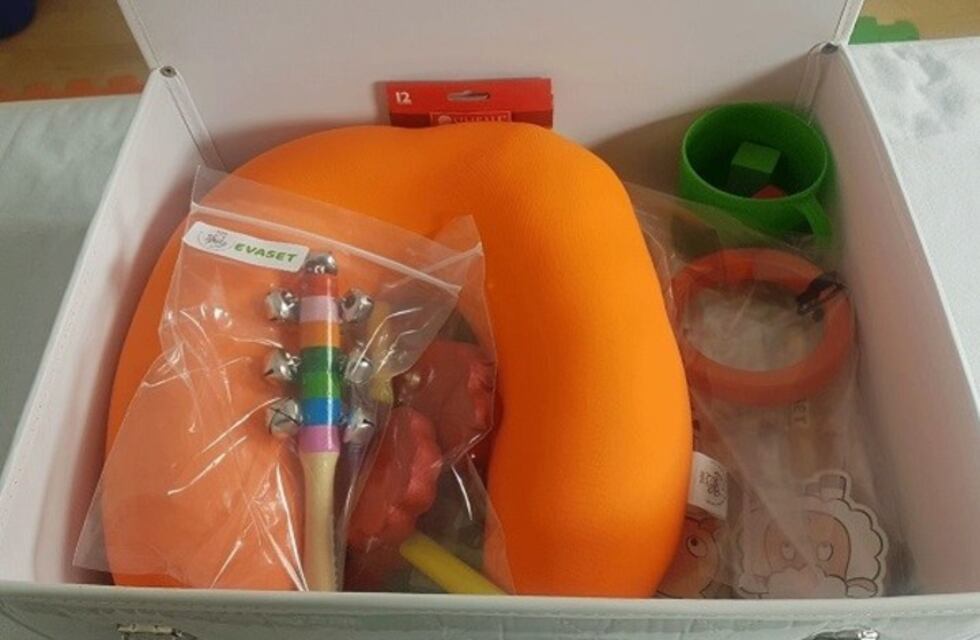 Qué incluye el set para padres destinado a evaluar el neurodesarrollo de los bebés
