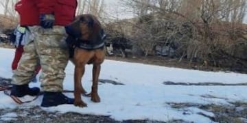 Buscan a persona extraviada desde el 8 de agosto