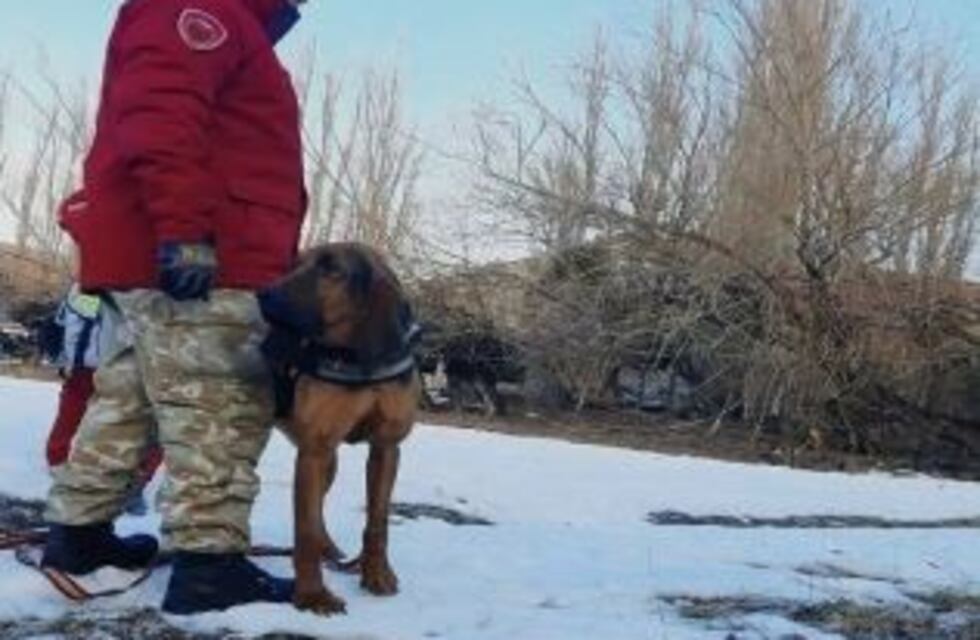 Buscan a persona extraviada desde el 8 de agosto