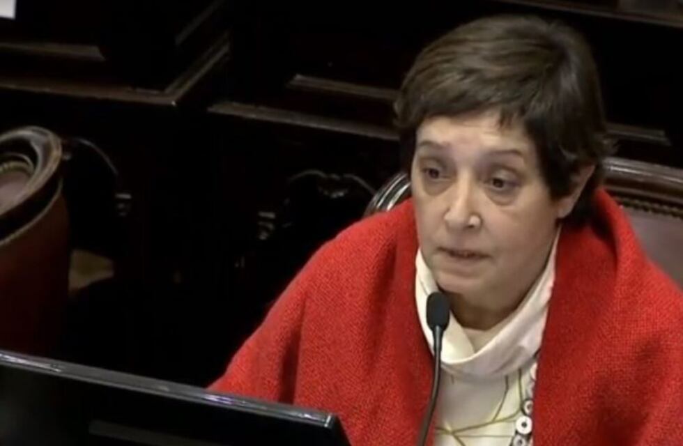 Mirkin dijo que los límites que Pichetto puso con Cristina Kirchner fueron clave para irse del bloque