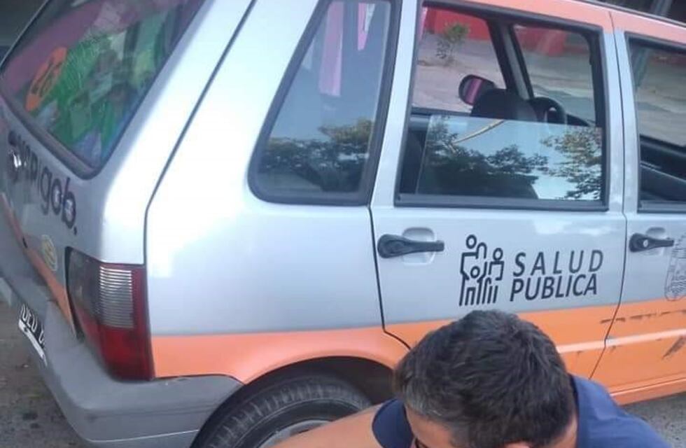 "Los cuidamos a ellos también": perritos callejeros asistidos por el Municipio