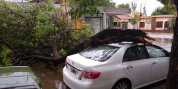 Diversos destrozos originó el fuerte temporal en Villa Mercedes, San Luis\u002E