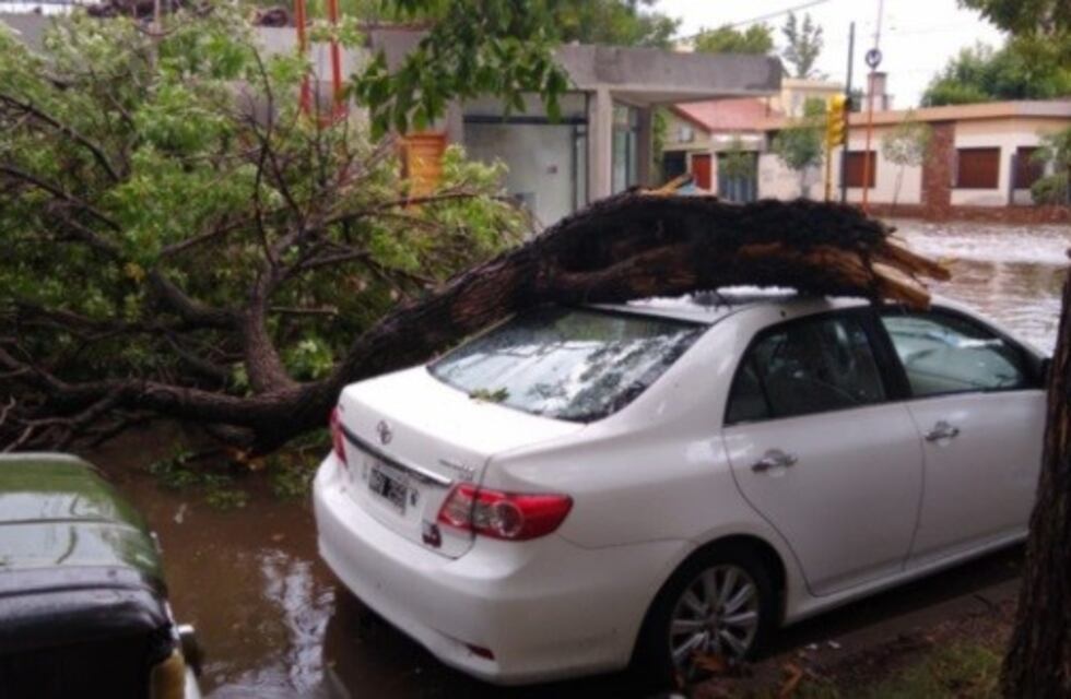 Devastador temporal de viento y lluvia azotó a Villa Mercedes