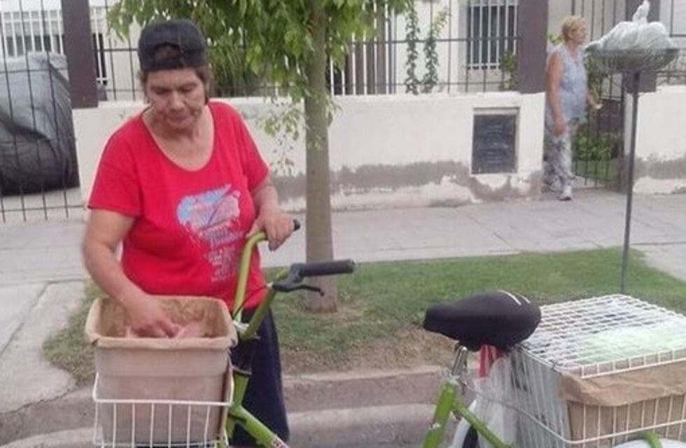 Siguen buscando la bicicleta que le robaron a una vendedora de Las Heras