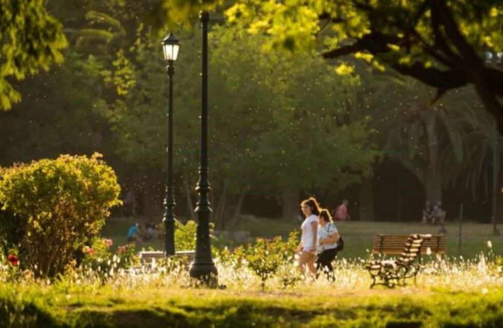 Domingo primaveral en Mendoza