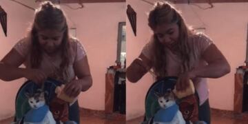 Viral: una peluquera sin clientes por la cuarentena le corta el pelo a sus mascotas