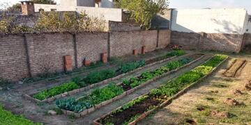 La Huerta en tu Hogar