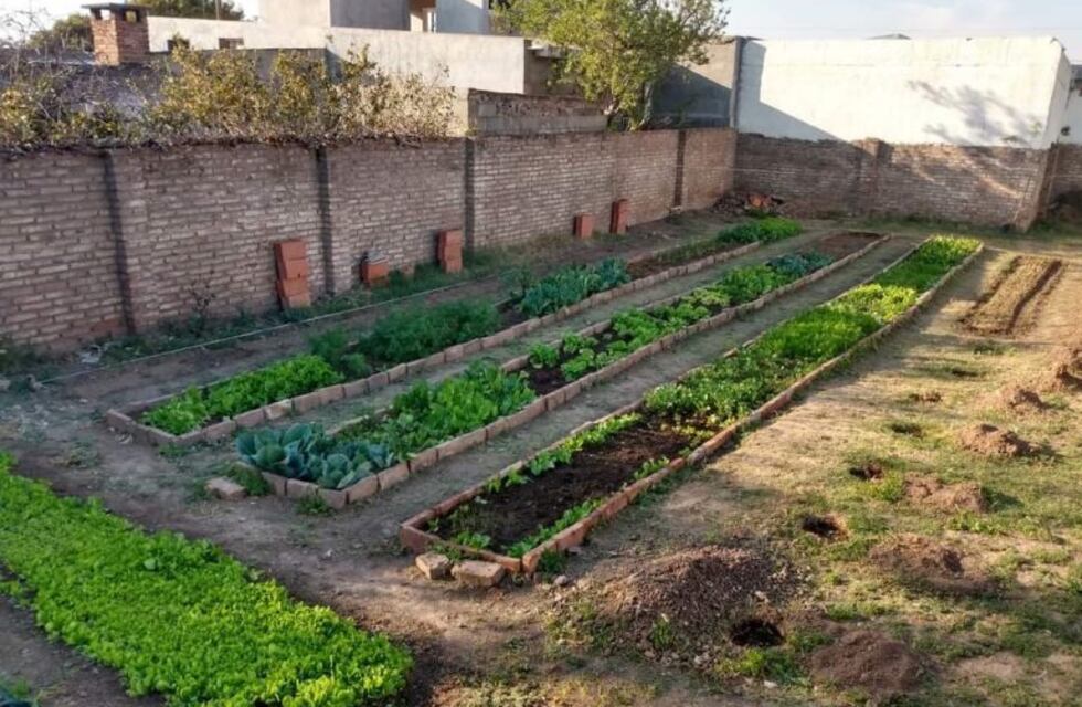 La municipalidad recibió los kits para los inscriptos en “La Huerta en tu Hogar”