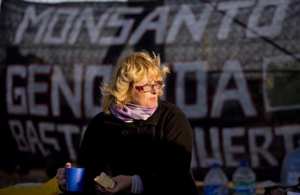 Tras cuatro horas de detención por intentar frenar una fumigación, liberaron a Sofía Gatica