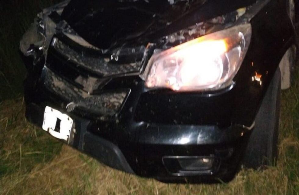 Ruta 18: automovilista embistió un toro de 500 kilos