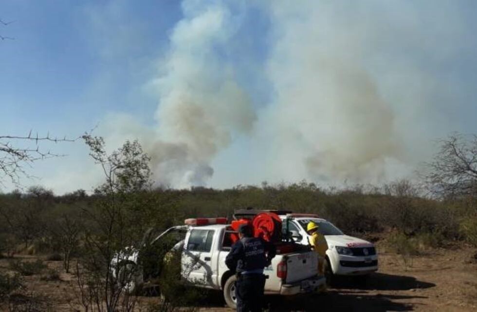Incendio de campos fue sofocado en las primeras horas de la noche