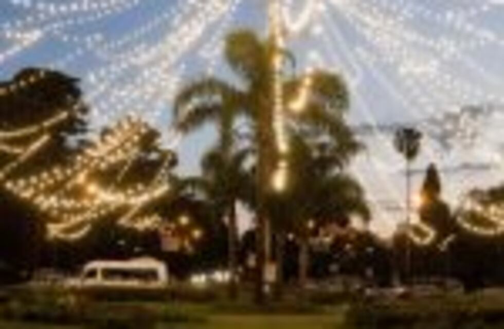 Se encendió el tradicional Árbol de Navidad de Pellegrini y Oroño