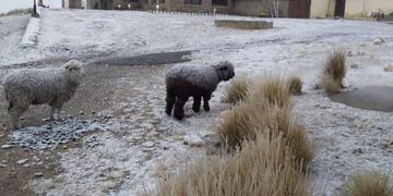 Nevó en las Altas Cumbres\u002E