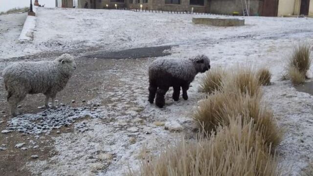 Nevó en las Altas Cumbres\u002E