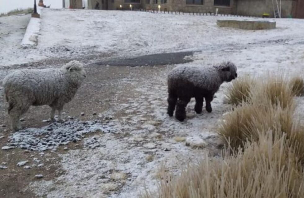 En fotos: la nevada en las Altas Cumbres