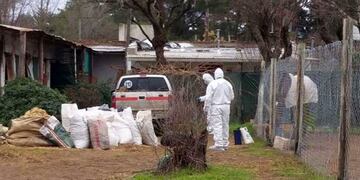 Detenido por abigeato (El Diario)