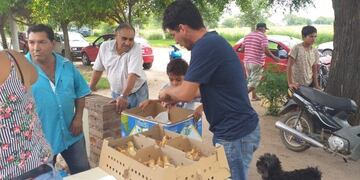 Entrega de gallinas ponedoras en Jesús María