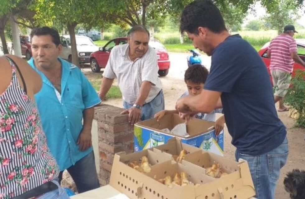Jesús María: la Muni entregó gallinas para emprendimientos familiares