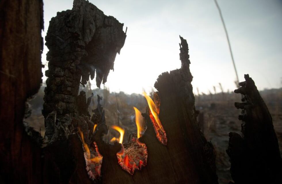 Gobierno de Santa Cruz dispuso brigadas para colaborar en el combate de los incendios en Brasil