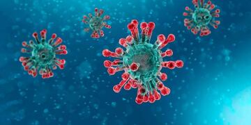 Coronaviirus