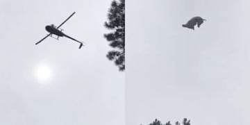 El momento en que tiran al cerdo del helicoptero (Foto:Captura)