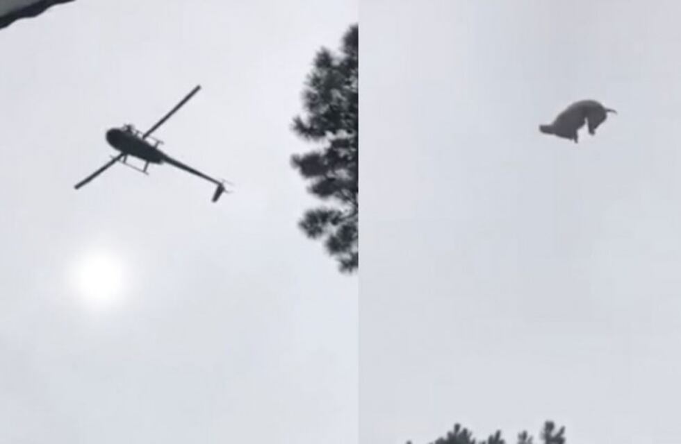 Un nuevo video de la caída del cordero muestra a Federico Álvarez Castillo en la pileta