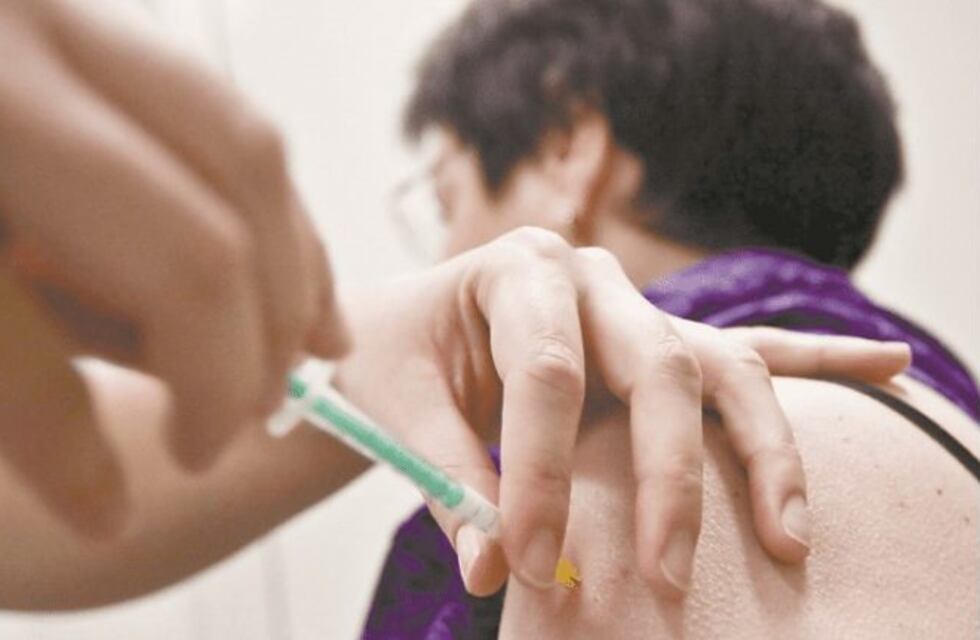 Confirmaron el primer caso de gripe A en La Plata