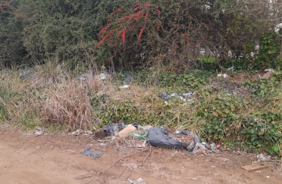Denuncian que cada vez hay más basura en la zona del puente del AMCA