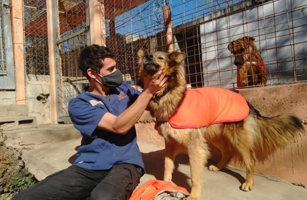 Los perritos de los caniles de Carlos Paz ya están abrigados y preparados para el invierno