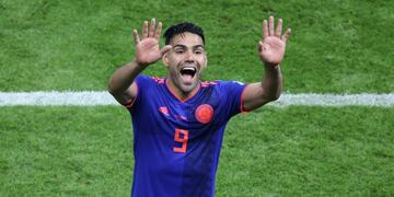 Colombia's forward Falcao celebrates their victory at the end of the Russia 2018 World Cup Group H football match between Poland and Colombia at the Kazan Arena in Kazan on June 24, 2018\u002E / AFP PHOTO / Roman Kruchinin / RESTRICTED TO EDITORIAL USE - NO MOBILE PUSH ALERTS/DOWNLOADS