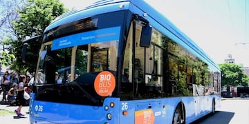 Biobus: la provincia propone que todo el transporte público utilice biodiesel