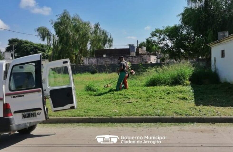 El Municipio de Arroyito tuvo que desmalezar 130 lotes privados