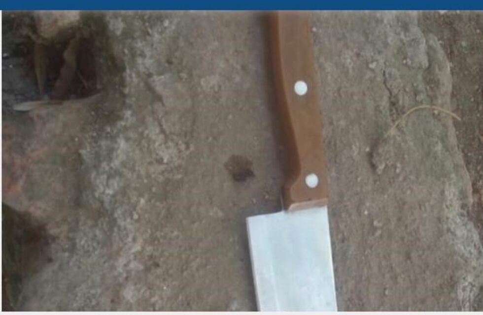 Detienen a una mujer y le secuestran un cuchillo de carnicero