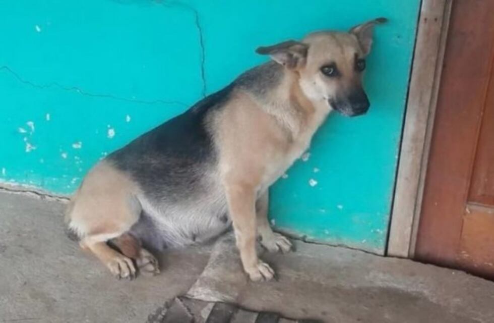 La historia (con final feliz) de Marie: la abandonaron estando a punto de dar a luz
