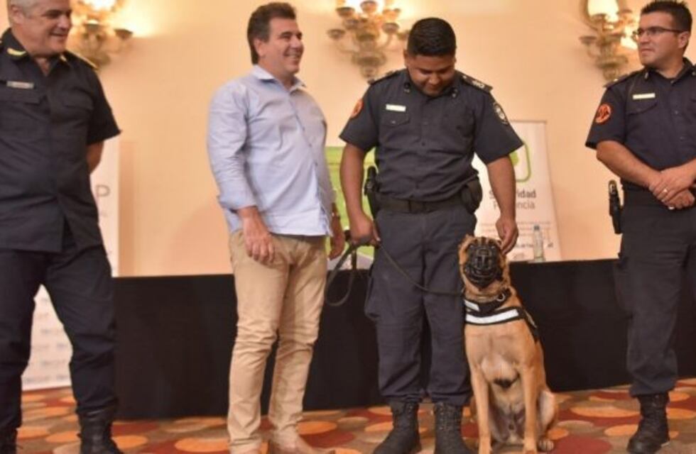 Ritondo: "No fue una buena temporada para la delincuencia"