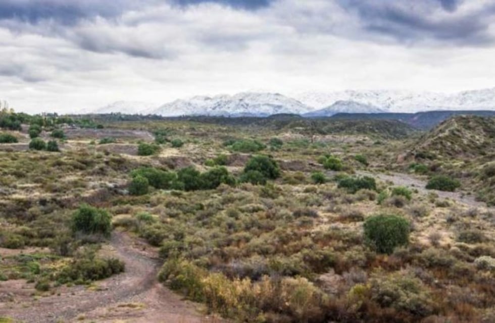 Buscan expropiar 15.000 hectáreas en el piedemonte mendocino