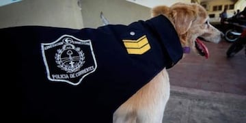 El fallecimiento del Sargento Cartucho que conmovió a toda una comunidad\u002E