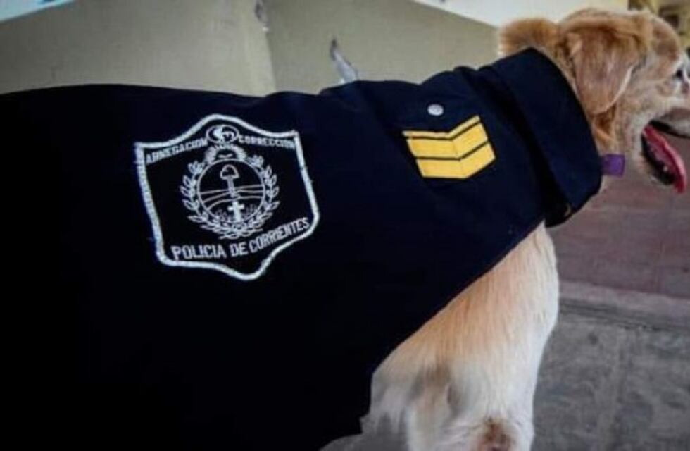 La muerte de Cartucho todavía conmociona a vecinos y a la policía