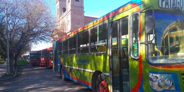 Sin subsidio, el boleto en Viedma sería de 40 pesos