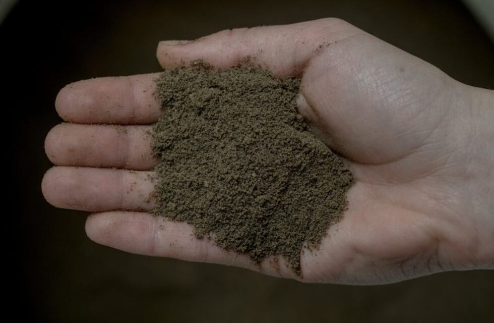 Se realizó taller de compostaje con desechos domiciliarios