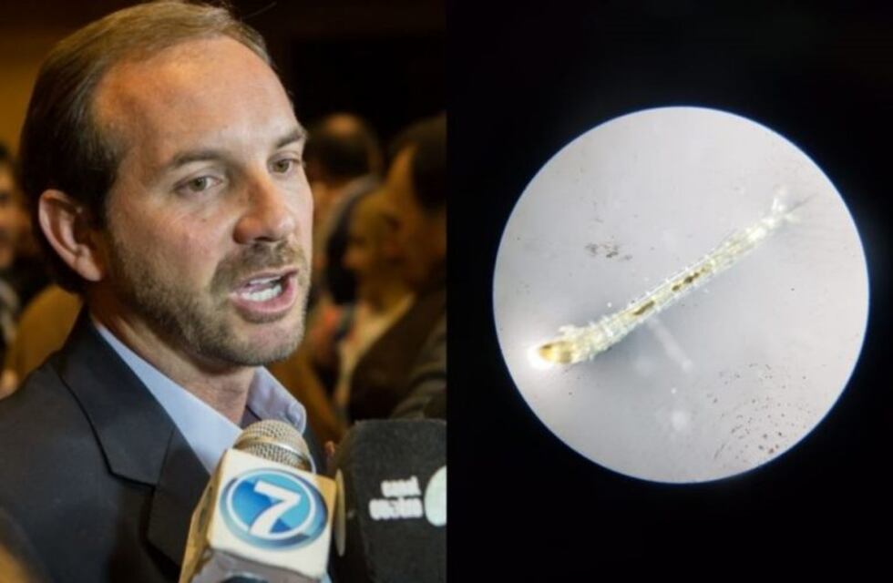 Aguas del Norte habló sobre la presencia de gusanos en al agua de San Antonio de los Cobres