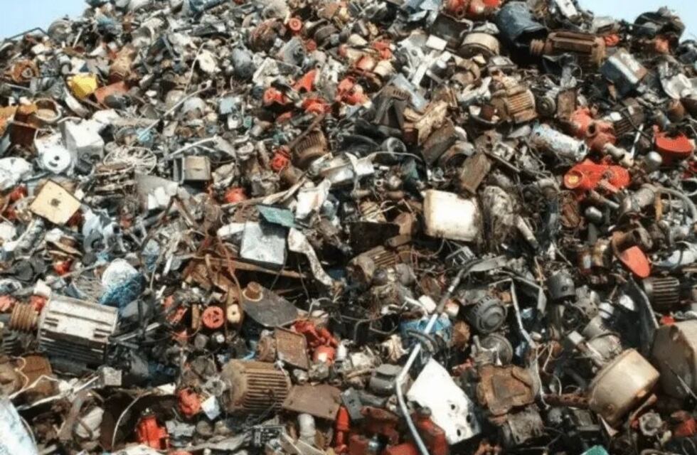 Un nuevo desafío viral: encontrar al gato en el medio de una montaña de basura