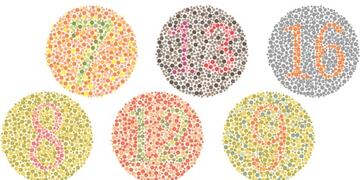 Daltonismo: cómo es ver la vida en otros colores