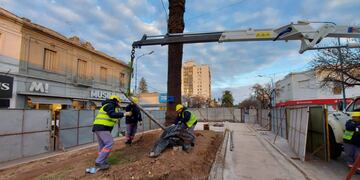 Reacondicionarán las tradicionales pantallas en el Bv. Santa Fe.
