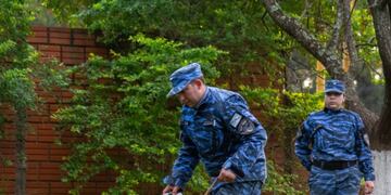 Compromiso y dedicación: el trabajo diario de los perros policías y sus guías en la Policía de Misiones