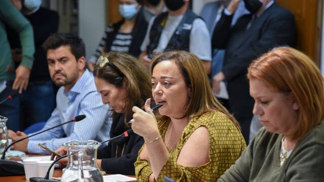 Cecilia Moreau es la candidata más firma para suceder a Sergio Massa en la presidencia de Diputados (Foto: HCDN)